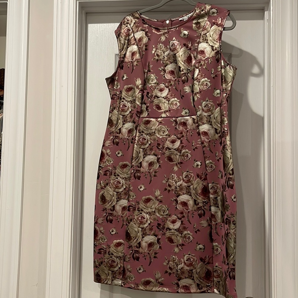 Dressy sleeveless dress.